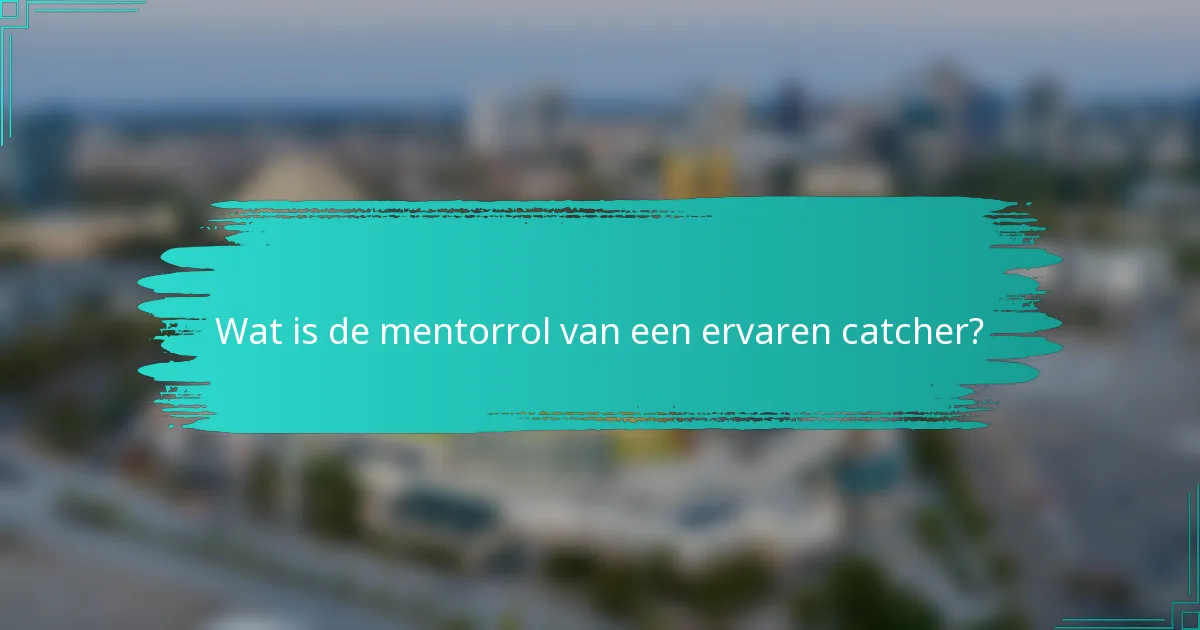 Wat is de mentorrol van een ervaren catcher?
